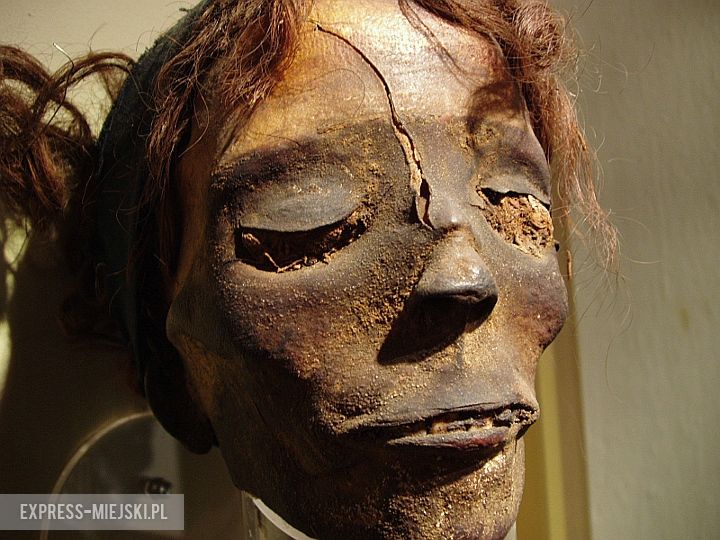 Twarz mumii znalezionej po wojnie w aptece przy placu Solnym we Wrocławiu