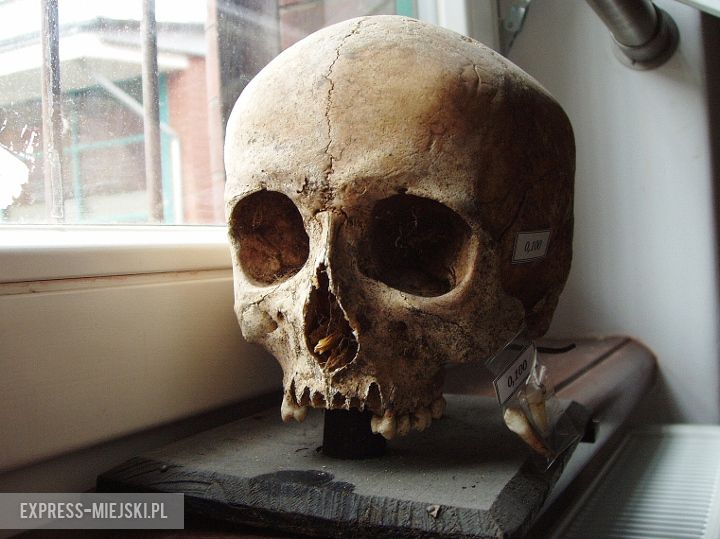 Dzięki wrocławskim naukowcom możliwe jest odtwarzanie twarzy zmumifikowanych zwłok, które mają kilka tysięcy lat


