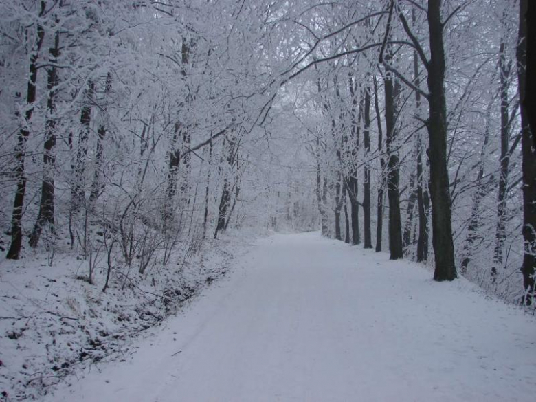 Srebrna Góra w zimie
