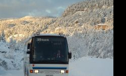 Autobusem na narty do Zieleńca