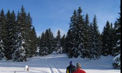Bielice - Paprsek. Narciarski hit sezonu