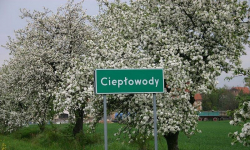 Ciepłowody w TVP Wrocław