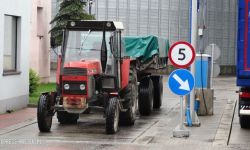 Plony duże, tylko ceny drastyczne