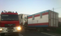 Śmiertelny wypadek za Bardem