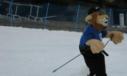 Zimowy Festyn Policyjny na Czarnej Górze