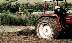 Ursus wylądował w rowie