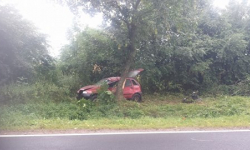 Punto uderzyło w drzewo