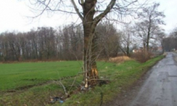 Wypadek w miejscowości Wolany