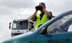 Pies służbowy wytropił narkotyki