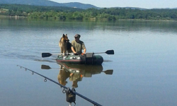 VI Frankenstein Carp Meeting
