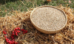 Rolnicy podziękują za plony. Gwiazdą dożynek zespół Power Play!