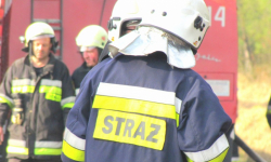 Strażacy ratowali psa, który wpadł do szamba