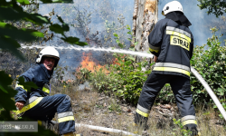 Rozpoczęły się pożary suchych traw. Strażacy interweniowali też przy wypadkach i pomagali pogotowiu
