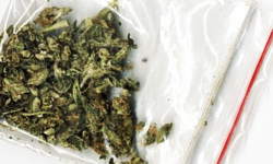 W aucie 23-latka znaleziono kilkanaście porcji marihuany