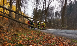 Połamane drzewa i uszkodzone poszycie dachowe. Dziś także powieje mocniej