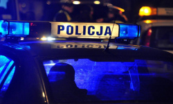 Radiowóz uniknął zderzenia z sarną, ale... wylądował w rowie