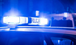 Zgubili się uciekając przed dzikami. Jeden z nich szukając pomocy przepłynął przez rzekę