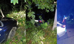 Wracali ze sklepu monopolowego i wjechali w krzaki. Kierowca miał ponad dwa promile