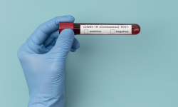 Aktualne informacje z terenu powiatu ząbkowickiego dotyczące koronawirusa - 15.03, godz. 10.30