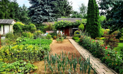 Policjanci apelują: zabezpiecz swoją działkę i nie zostawiaj w niej cennych przedmiotów