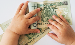 50 tysięcy wniosków o 300+ w ciągu kilku dni