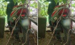 Spowodował kolizję, uciekł z miejsca zdarzenia i ukrył pojazd w krzakach za domem