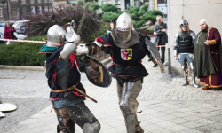 Pokaz walk rycerskich z okazji 700-lecia Księstwa Ziębickiego