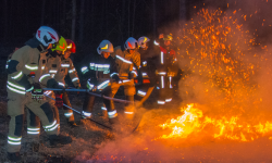 Ćwiczenia strażaków na terenie kompleksu pałacowo-parkowego w Kamieńcu Ząbkowickim