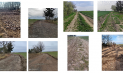 Naprawa dróg transportu rolnego w Ciepłowodach