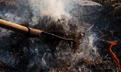 Policja przypomina: wypalanie pozostałości roślinnych grozi karą