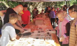 Światowy dzień pszczoły na Kawiej Górze w Ciepłowodach