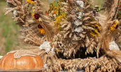 Znamy miejsce i termin tegorocznych dożynek wojewódzkich. Gwiazdami będą Czadoman i Sławomir