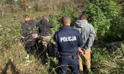 Policjanci zlikwidowali plantację konopi. Tymczasowy areszt dla dwóch mężczyzn
