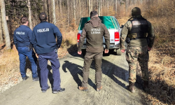 Policjanci i strażnicy leśni w walce z klusownictwem i nielegalnym zbieraniem poroża