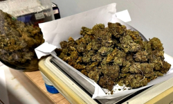 Policyjny pies w akcji. Mundurowi zabezpieczyli znaczną ilość marihuany i kilka porcji amfetaminy