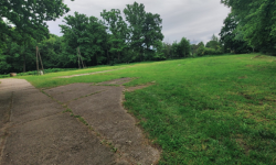 „Turysto, siądź pod mym liściem…” – nowa przestrzeń rekreacyjna powstanie w Parku Kulturowym