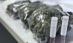 Amfetaminę chował w zamrażarce, a marihuanę w pralce. 30-latek trafił do tymczasowego aresztu