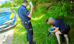 Nietypowa interwencja policji. Młoda sarna odzyskała siły i wróciła do lasu
