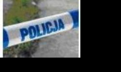 Chciała wyłudzić kredyt