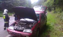 Z cyklu: "Dębowina i niekończąca się opowieść"