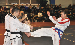 Taekwon-do - Powiat Ząbkowicki wspiera aktywnych