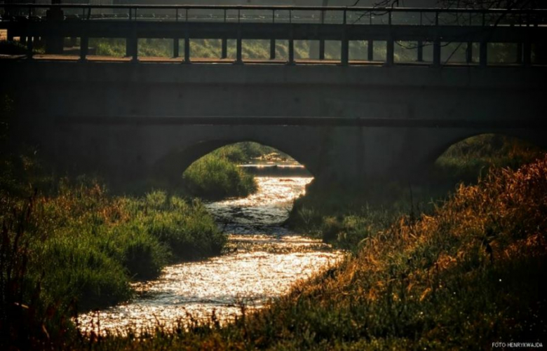 Fotografia Henryk Wajda
