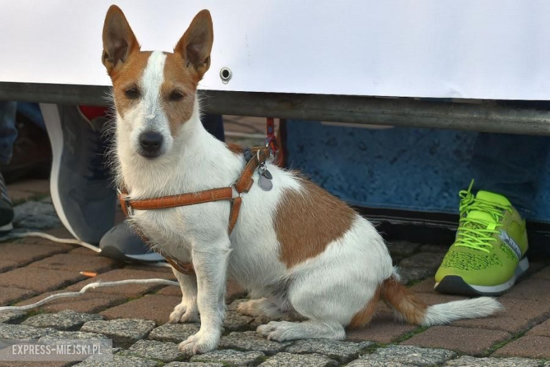 Rajd Śląska 2018