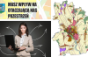 Wyłożenie do publicznego wglądu miejscowego planu części obrębu geodezyjnego Stolec