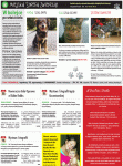 dsr / dw / 1 / 33 / 2014