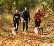 Już niebawem Finał Pucharu Polski w Dogtrekkingu
