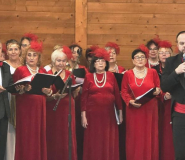 Muzyczne popołudnie w parku miejskim. Wrocławski Chór Seniora wystąpił w Złotym Stoku