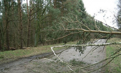 Oj wiało na Dolnym Śląsku
