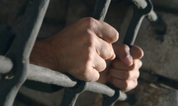 Kosiarka wróciła do właściciela 