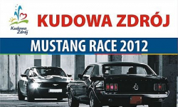  Ryk mustangów w kudowskim parku [wideo]
